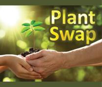 Climate Action: Plant Swap and Mingle